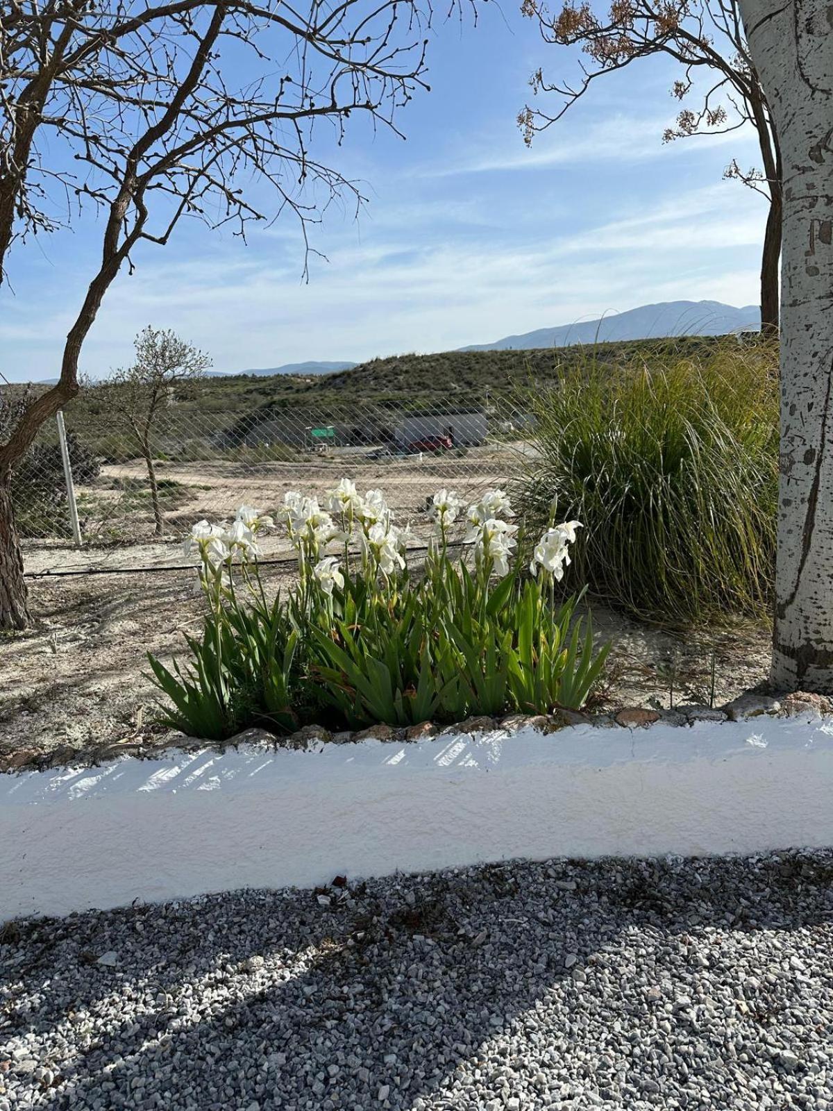 Alojamientos CUEVAS TIANA El Aljibete Exterior foto